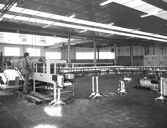 historia empresa aceites mateo envasadora antigua
